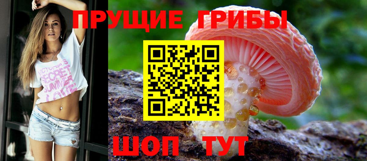 Ачинск  Галлюциногенные грибы Magic Shrooms  Вход с VPN  Галлюциногенные грибы Psilocybe 